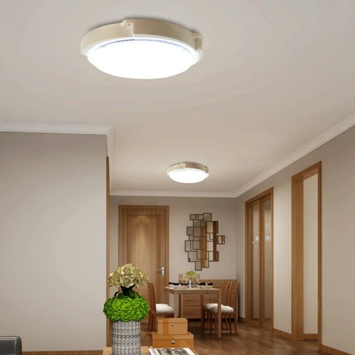 led ceiling lights indoor